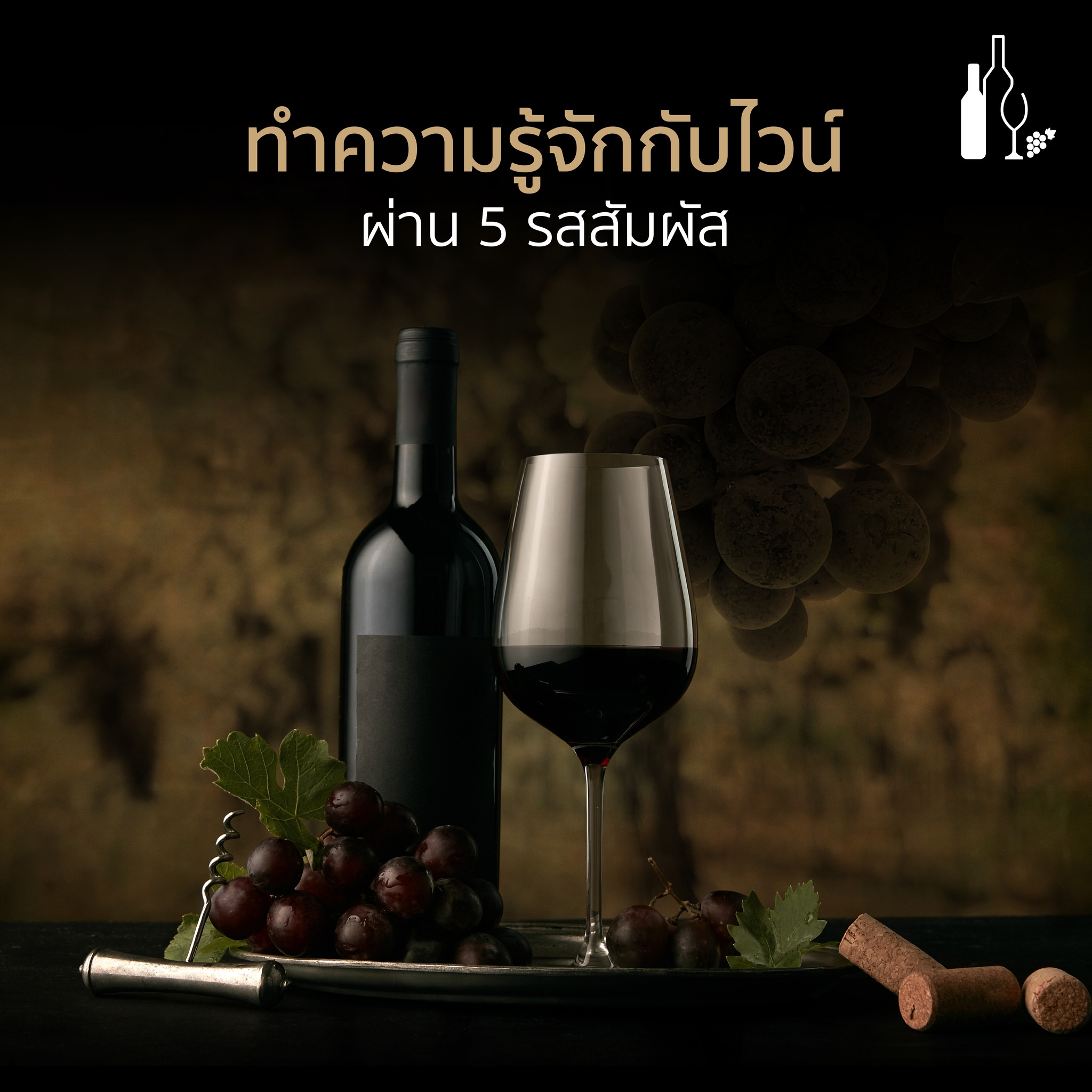 ทำความรู้จักไวน์ผ่าน 5 รสสัมผัส | Universal Fine Wine And Spirits | ufws | wine | A five-sense approach to understanding wine