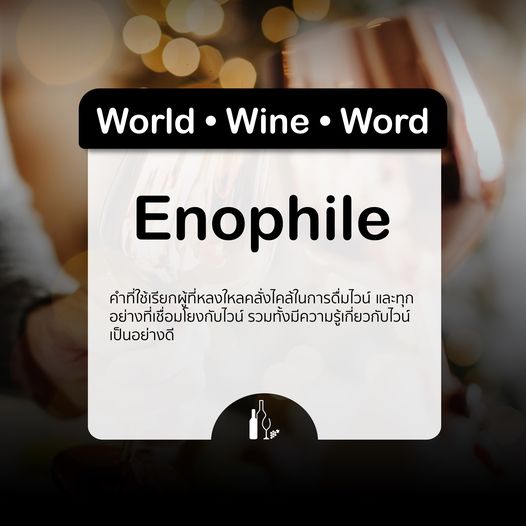 Enophile คืออะไร | wine | ผู้หลงไหลในการดื่มไวน์ | Universal Fine Wine and Spirits | ufws