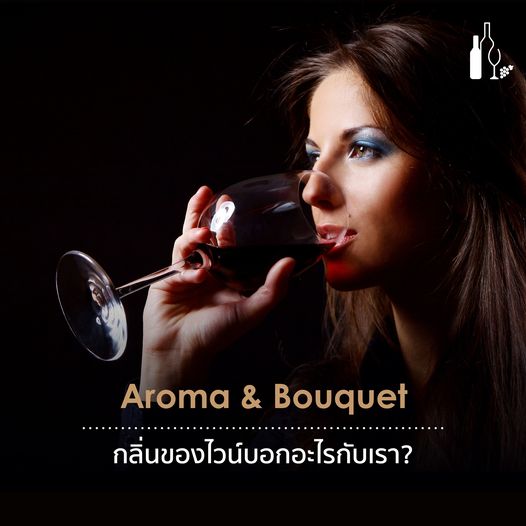 กลิ่นของไวน์บอกอะไรกับเรา | ufws | universal fine wine and spirits | aroma and bouquet | wine