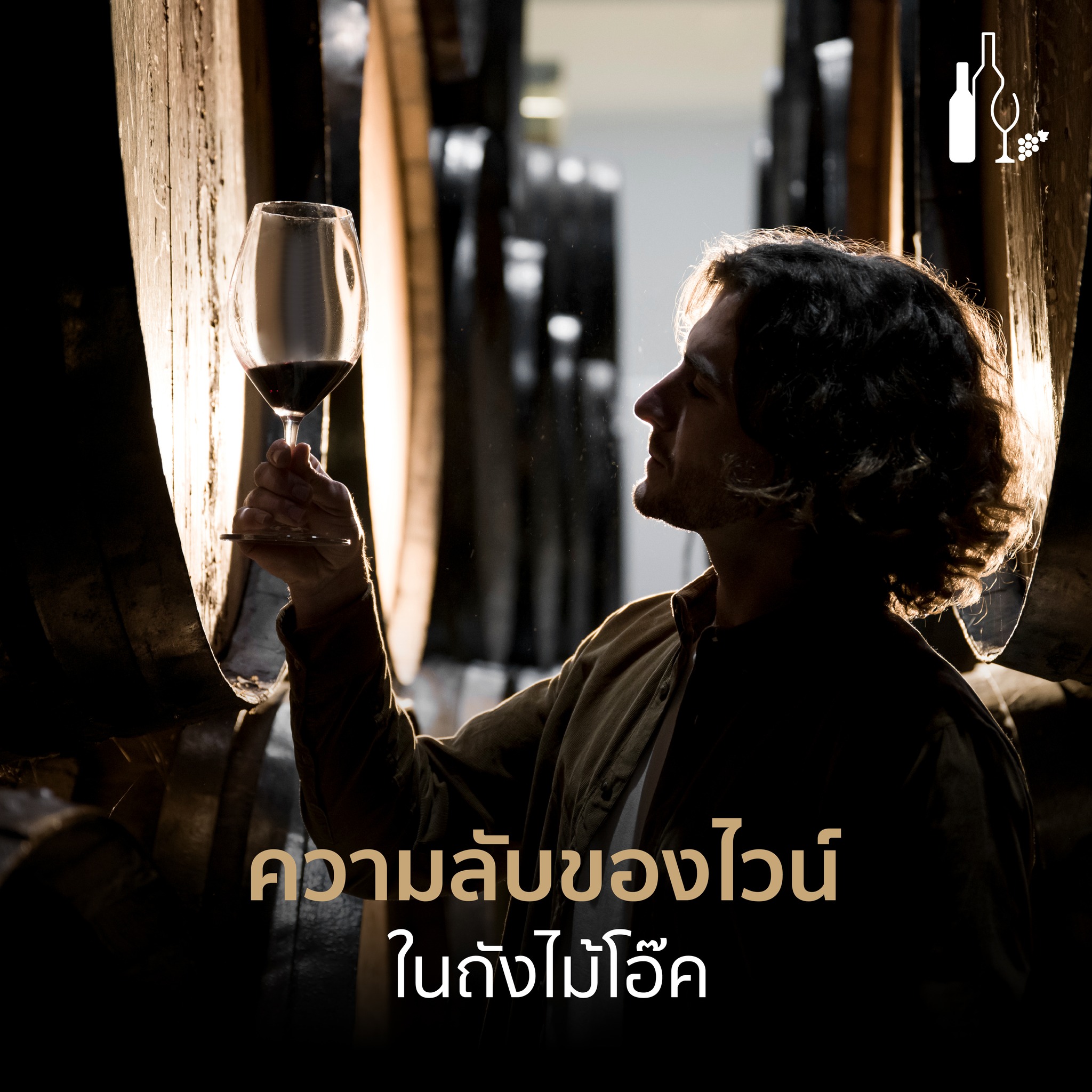 ความลับของไวน์ในถังไม้โอ๊ค | universalfinewineandspirits | wine | the secret of wine | ไวน์ | ufws